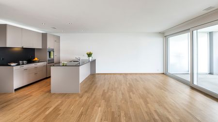 Moderne Sitzplatzwohnung sucht neuen Mieter - Photo 5