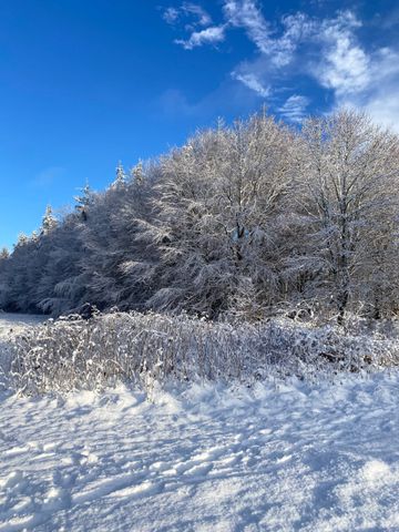 238m² Villa | Them - Foto 5