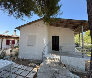 Μονοκατοικία για ενοικίαση - Ωρωπός - Photo 5