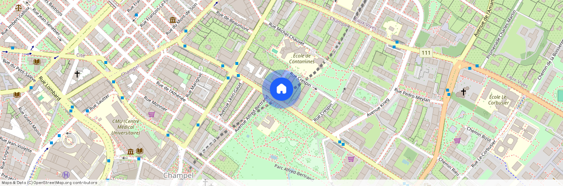 Rue Crespin 2, 1206 Genève