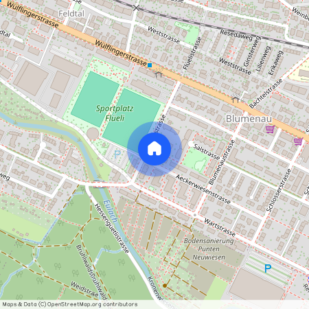 Flüelistr, 2, 8400 Winterthur