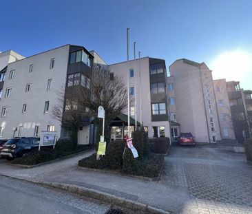 Senioren-Wohnung mit Balkon im Stadtteil Ennsleite - Kopernikusstra... - Foto 1