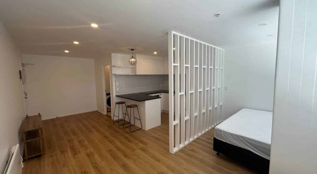 Renovated Studio Apartment - Photo 1