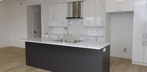 Appartement 4 ½ à Louer - St-Polycarpe - Photo 2