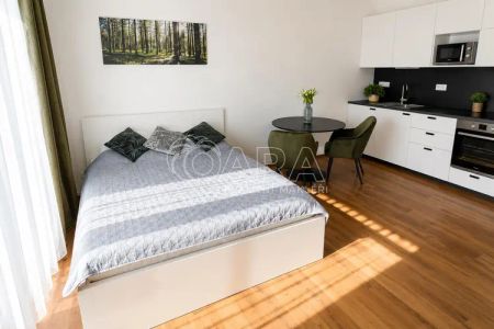 Pronájem moderního bytu 1+kk s balkonem a sklepem, Praha 7 Holešovice - Fotografie 3