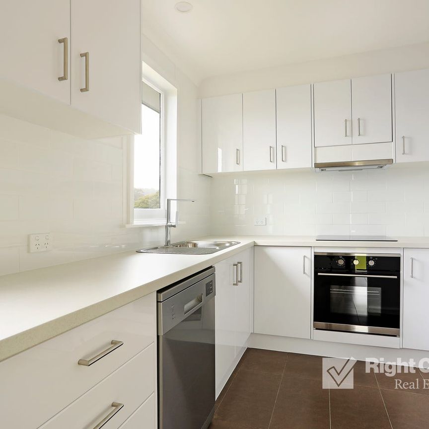 Freshly Painted 3-Bedroom Home with Spacious Backyard - Photo 1