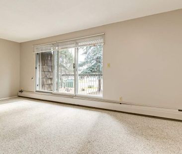Renovated Suite - 1 Bedroom - Photo 2
