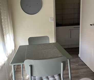 Location Appartement 1 pièce 25m² TROYES 10000 - Photo 3