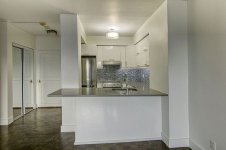 3555 Cote-des-Neiges Road - Photo 5