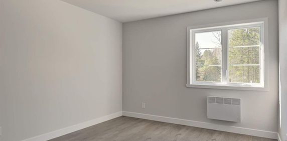 2 CH - 2 SDB - Sherbrooke - $1,600 /mo - Photo 2