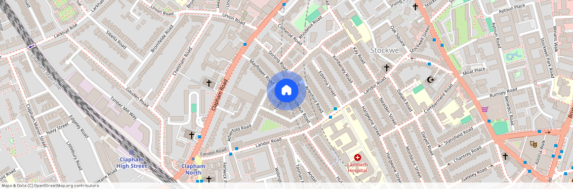 Tregothnan Road, London, SW9