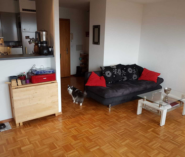 2.5 Zimmer, 51 m², 1. Stock - Foto 1