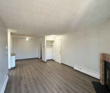 Castleview — Classic 1 Bed 1 Bath - Spacious - HEAT & WATER INCLUDE... - Photo 3