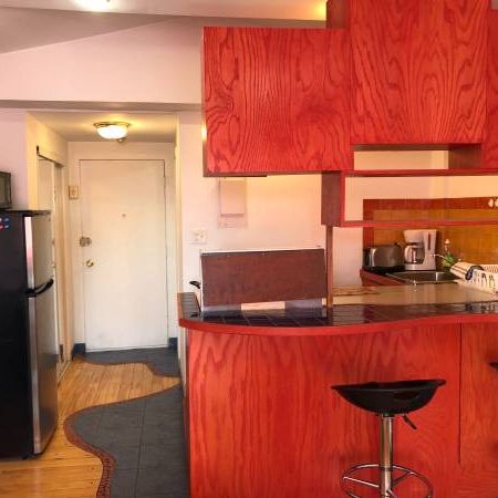 $980/ 1br - 1,1/2All included , full new furnished , metro fabre - Photo 3