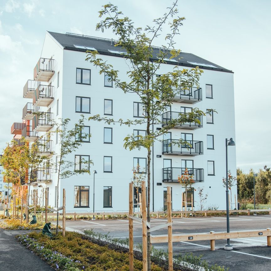 Kiselgatan 65 - Photo 1