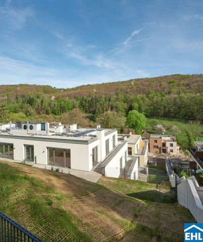 Jetzt mieten, später kaufen: Wohnen im idyllischen Kaltenleutgeben - Photo 2