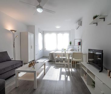 Alquiler de estudio en Calle Río Aranda, 7 - Photo 4