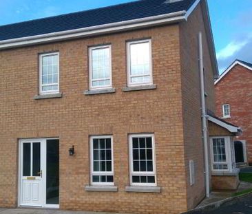 9 Magheraknock Park, Ballynahinch, BT24 8FG - Photo 5