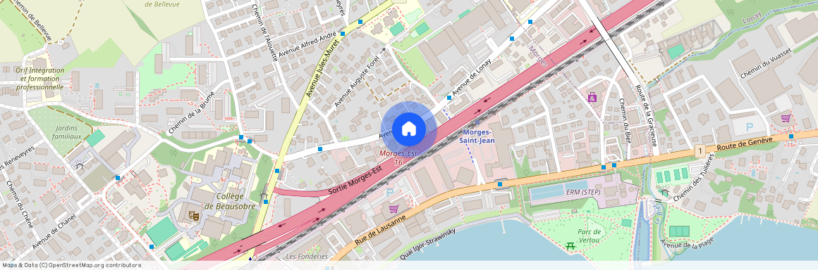 Avenue de Plan 16, 1110 Morges