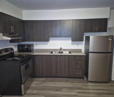 For Lease - 27 Bridge Street Unit# 107, Brantford, Ontario - Photo 2