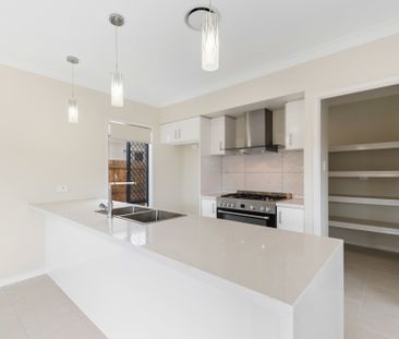 20 Apollo Street, Newport QLD 4020 - House For Rent | Domain - Photo 2