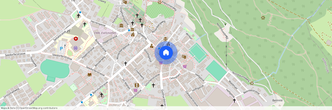 Schmiedgasse 1, 6460 Altdorf