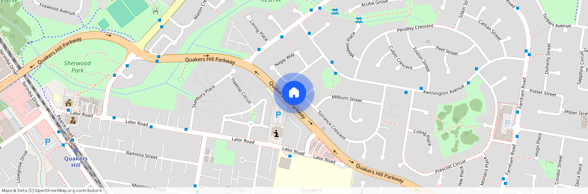 79 Torrance Crescent, Quakers Hill NSW 2763