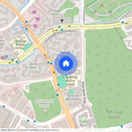 Bukit Batok Street 25, Singapore
