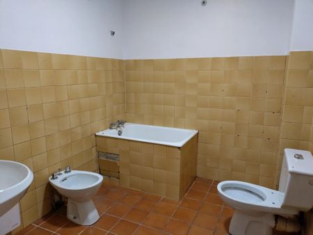 Location Appartement 1 pièces 29 m2 à Lavelanet - Photo 4