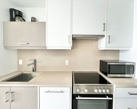 For Lease - 181 Huron Street Unit# Lph02, Toronto, Ontario - Photo 5