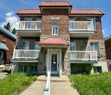 6825 Boul. Pie IX, Montréal (Rosemont, QC H1X - Photo 2