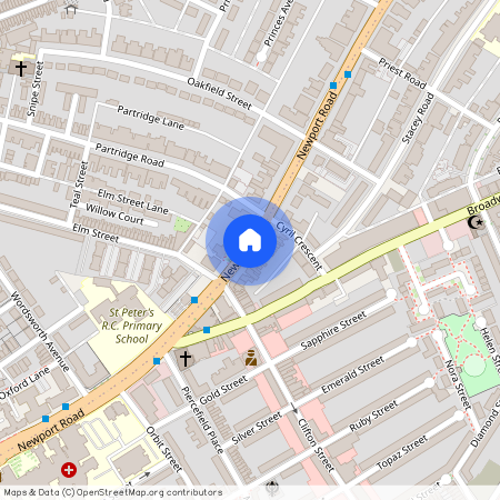 Newport Road, Roath, CF24 1DG, Newport Road, Roath, CF24 1DG