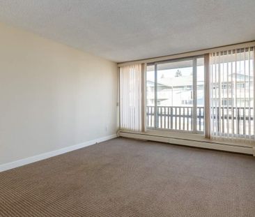 Classic Suite - 2 Bedroom - Photo 6