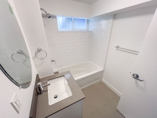 For Lease - 1A LEONARD Avenue Unit# LOWER, Toronto, Ontario - Photo 1
