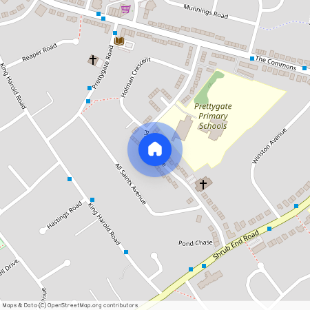 Plume Avenue, CO3 4PQ, Colchester