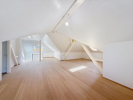 Magnifique villa de Maître entièrement renovée - Foto 1