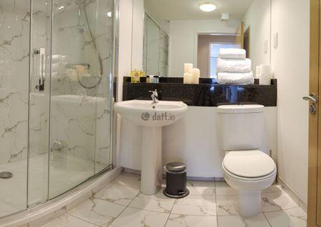 Apartment to rent in Dublin, S Lotts Rd - Photo 2