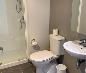 Biggest in the Volt! - Photo 6