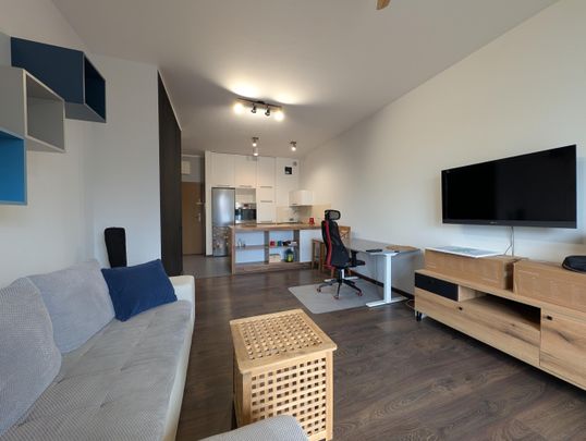 Łódź - Mieszkanie na wynajem - Фото 1