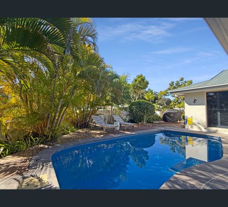 2 Kakadu Lane, Buderim, Qld 4556 - Photo 5