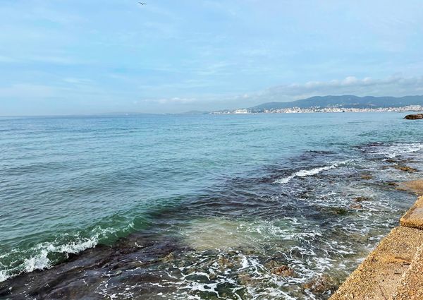 Apartamento primera planta sin amueblar, 3 dormitorios, parking, al lado del mar, El Molinar.