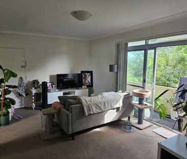 Randwick - Photo 3