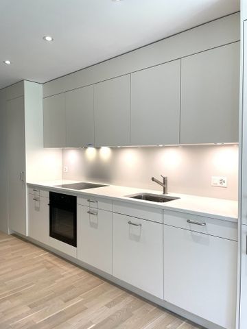 Top moderne Wohnung im Kreis 9, Zürich Albisrieden - Photo 3