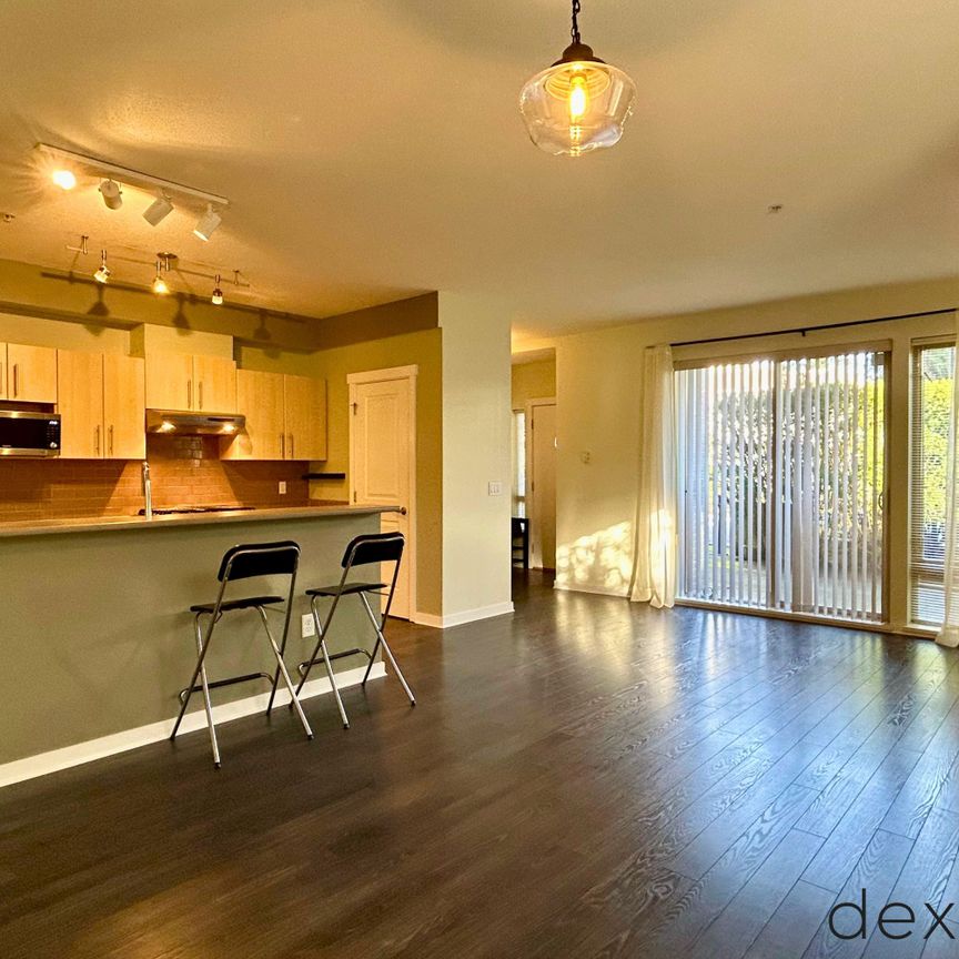 9229 University Crescent #100 - Photo 1