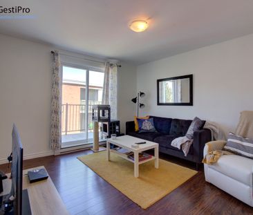 10 St-Jules (A-B-C) - Photo 5