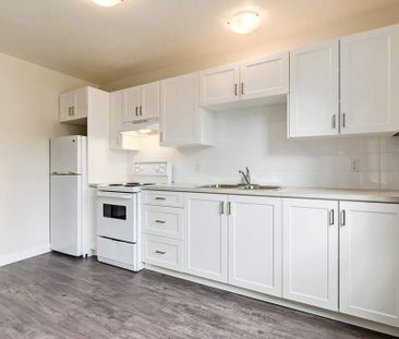 Renovated Suite - 1 Bedroom - Photo 6