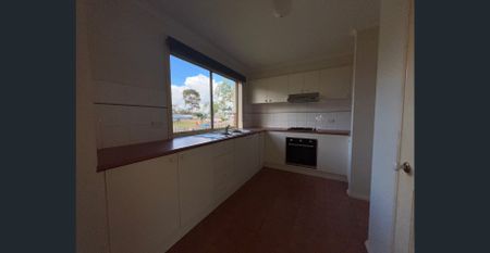 Walk to Everything! Modern, Light-Filled Living Steps in Central Croydon - Photo 3