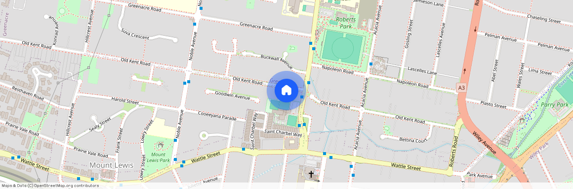 72 Old Kent Road, Mount Lewis 2190, New South Wales