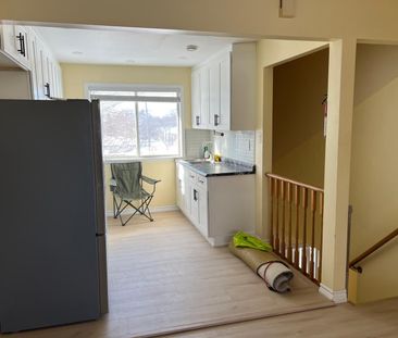 For Lease - 41 Tormore Drive Unit# 2nd Floor, Richmond Hill, Ontario - Photo 4