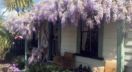 Paradise Cottage - Prime Location! - Photo 4